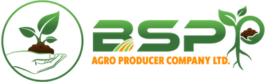 BSPPAGRO Logo
